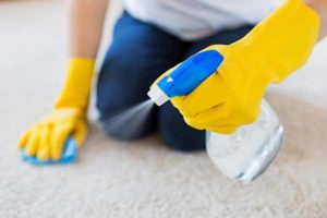 How to Clean Up Watercolor Spills on Your Carpet How to Clean Up Watercolor Spills on Your Carpet